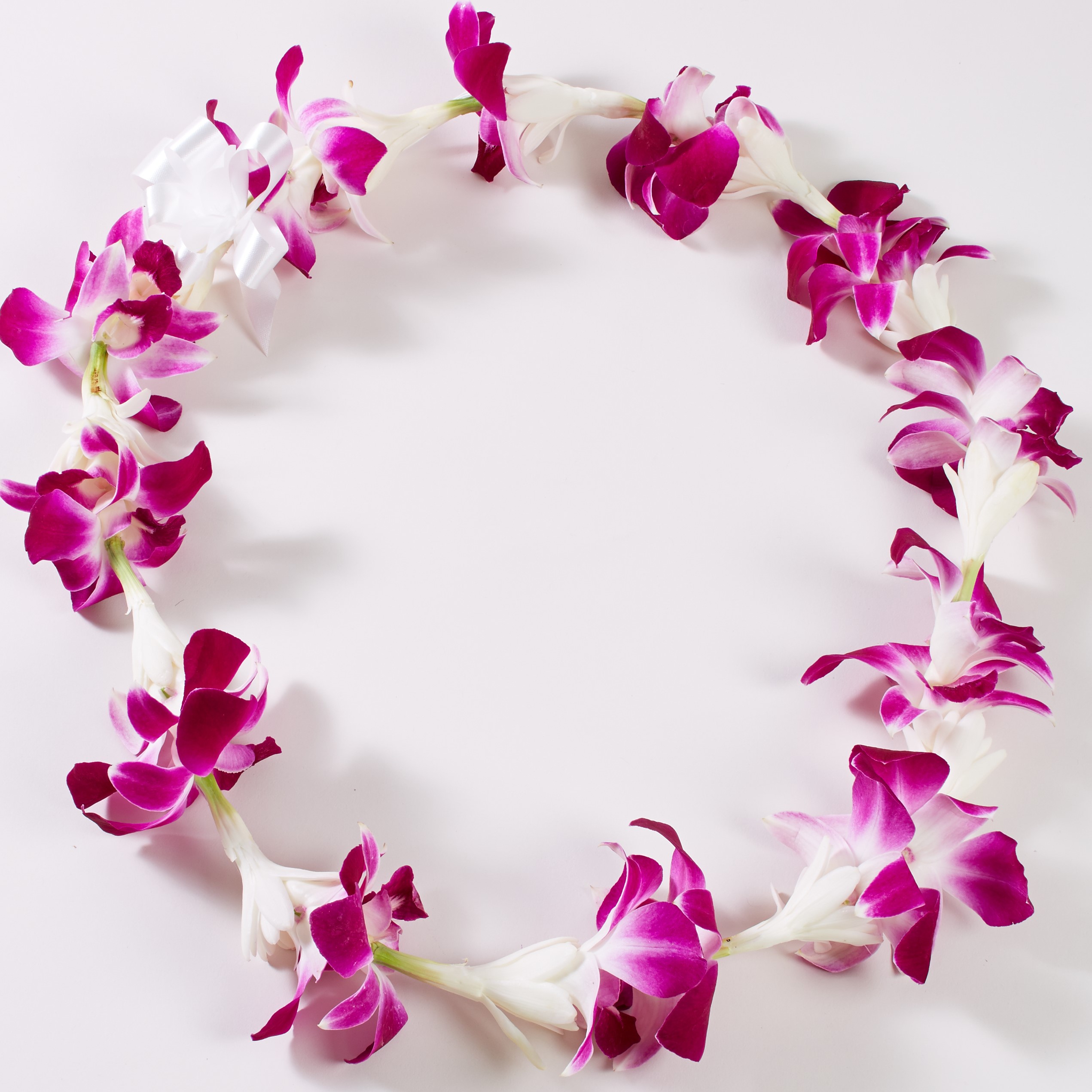 Real Flower Leis For Graduation Best Flower Site